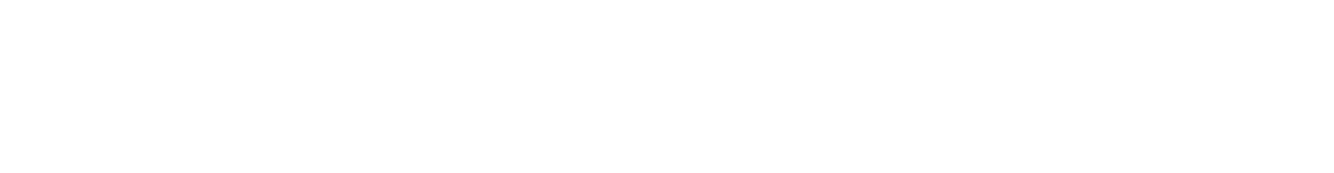 Lelevier Plastic